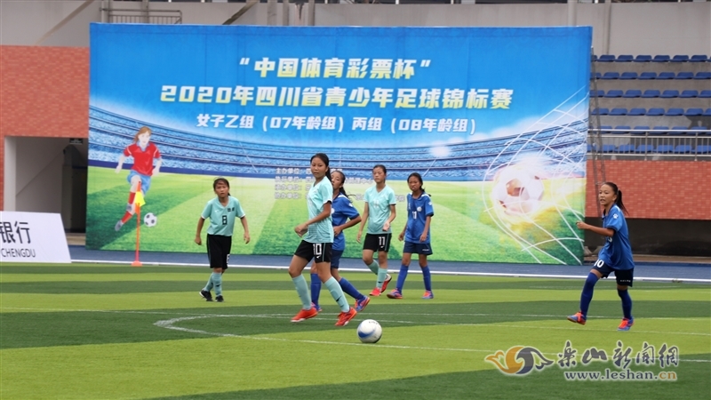 代价放大 代价放大